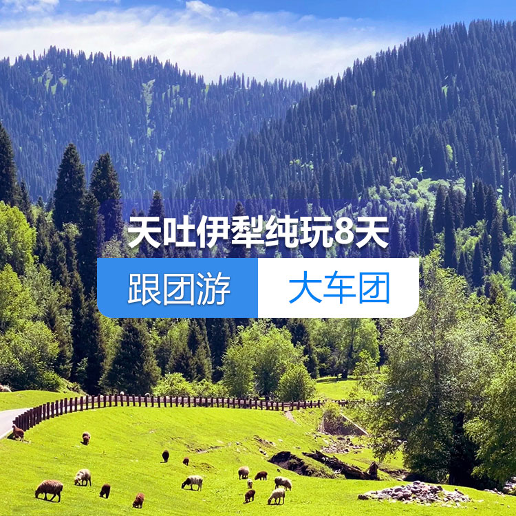 【新疆跟团游·大车团】北疆天池吐鲁番伊犁草原赛里木湖湖独库公路纯玩8日游（景点包含：赛里木湖+霍尔果斯口岸+薰衣草+库尔德宁+那拉提草原+独库公路北段+天池+吐鲁番）线路编号：11277