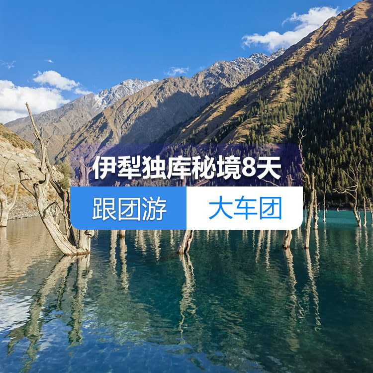 【新疆跟团游·大车团·伊犁独库秘境纯玩8天】肯斯瓦特水库、独山子大峡谷、赛里木湖、薰衣草庄园、那拉提大草原、喀赞其city walk、孟克特古道、新疆古生态园、唐布拉百里画廊 天山天池、飞览天下·新疆会客厅、国际大巴扎8日游（乌市起止）产品编号：11415